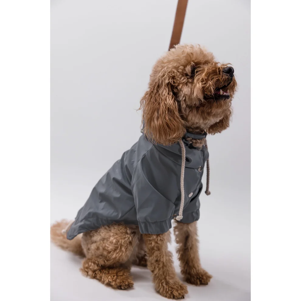 cocoist.dog - Rudy Dog Raincoat