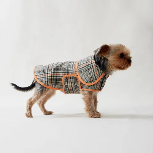 Mind The Mod - Glen Plaid Journey Dog Coat