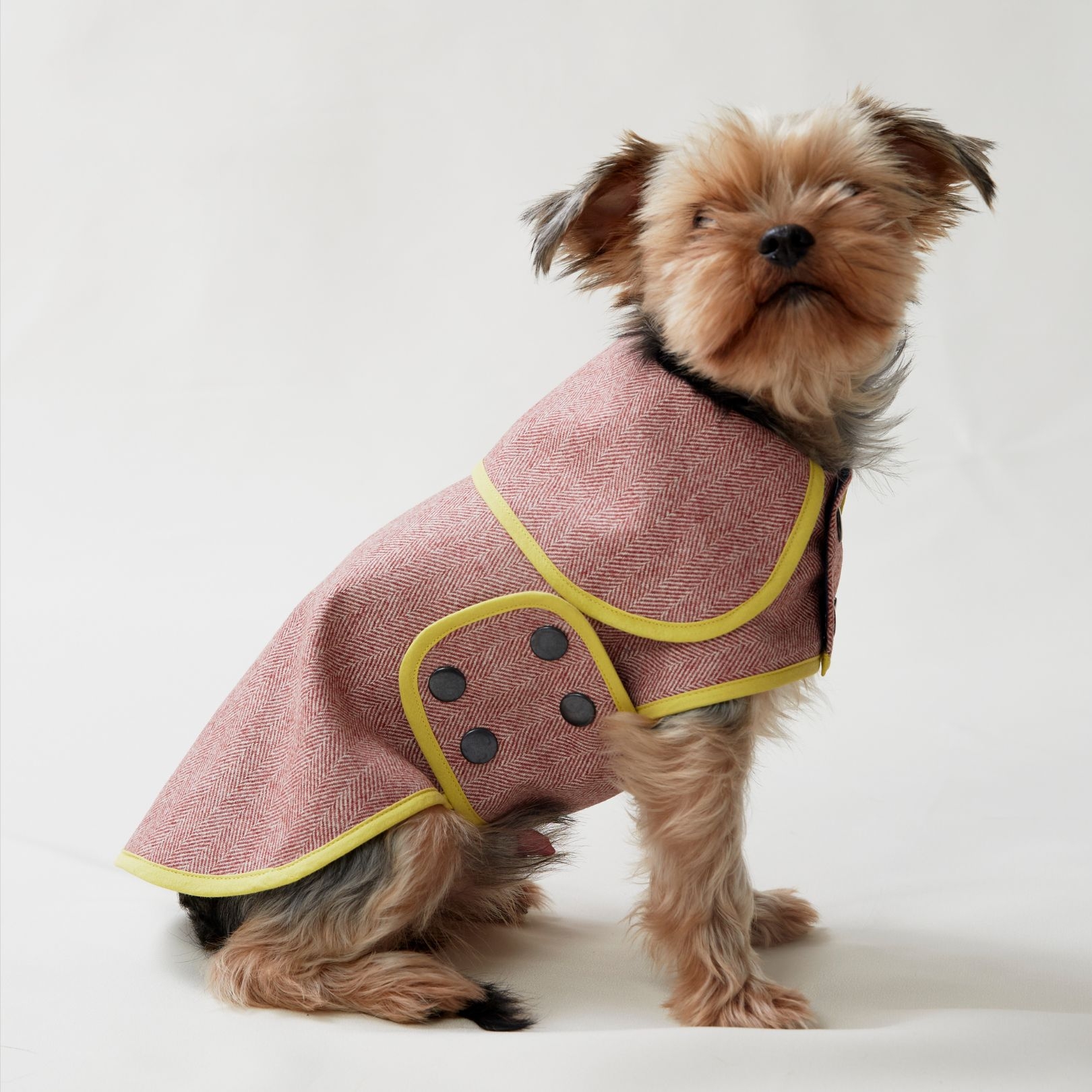 Herringbone Scarlet Dog Coat