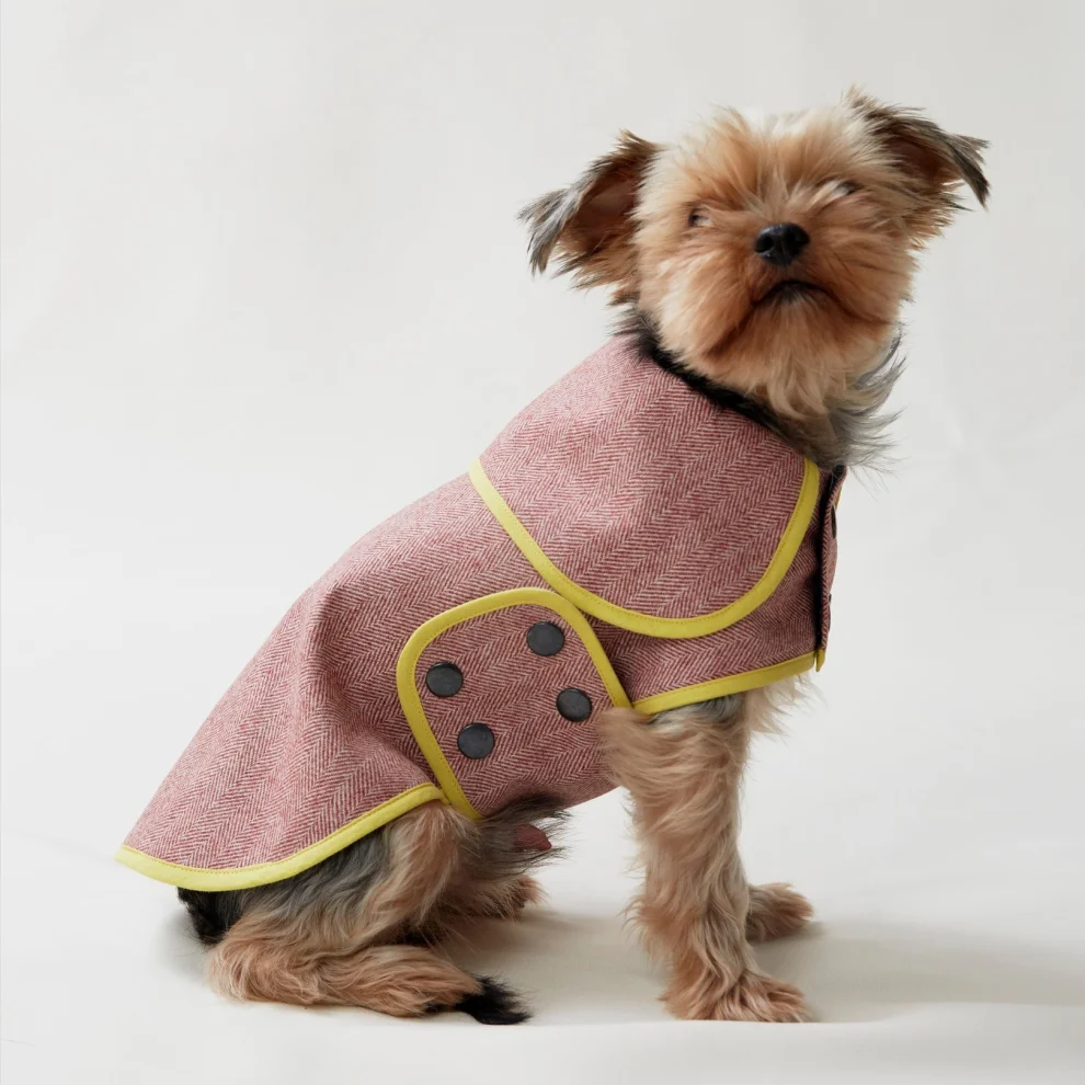 Herringbone dog coat best sale