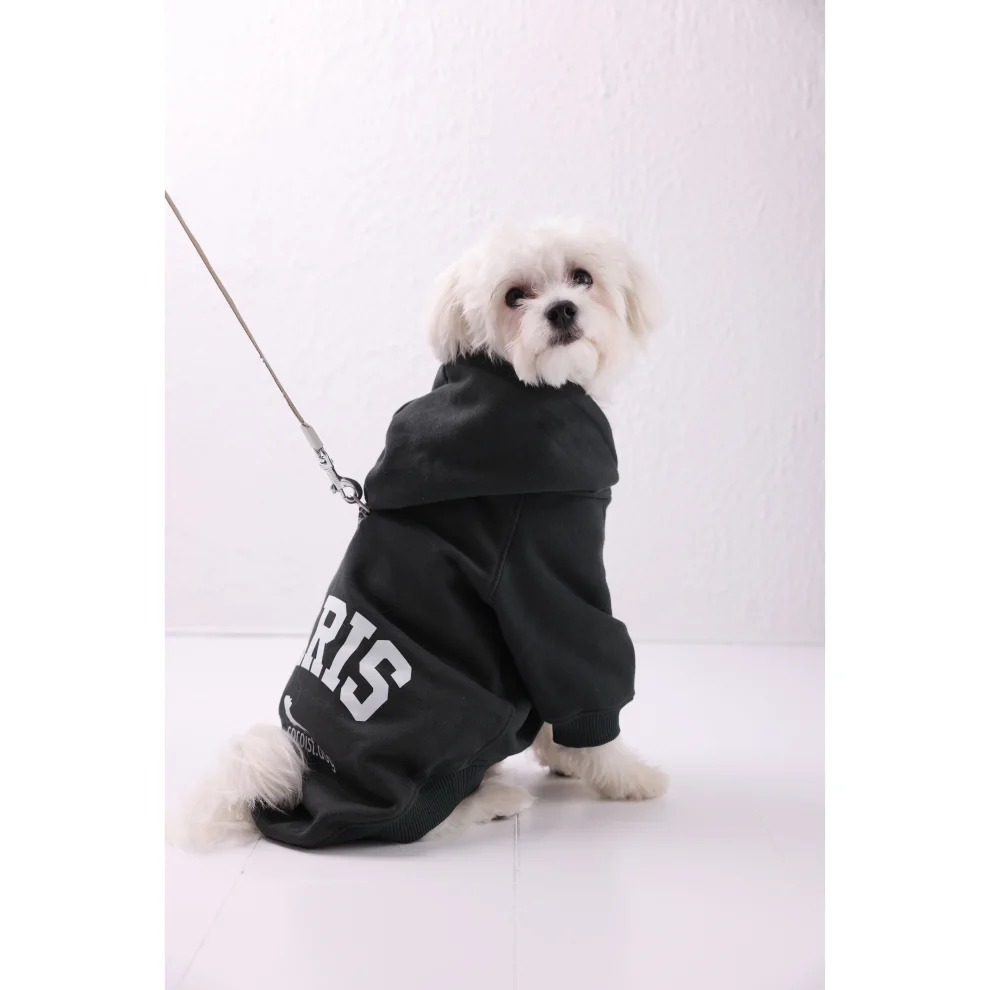 cocoist.dog - Buddy Köpek Hoodie