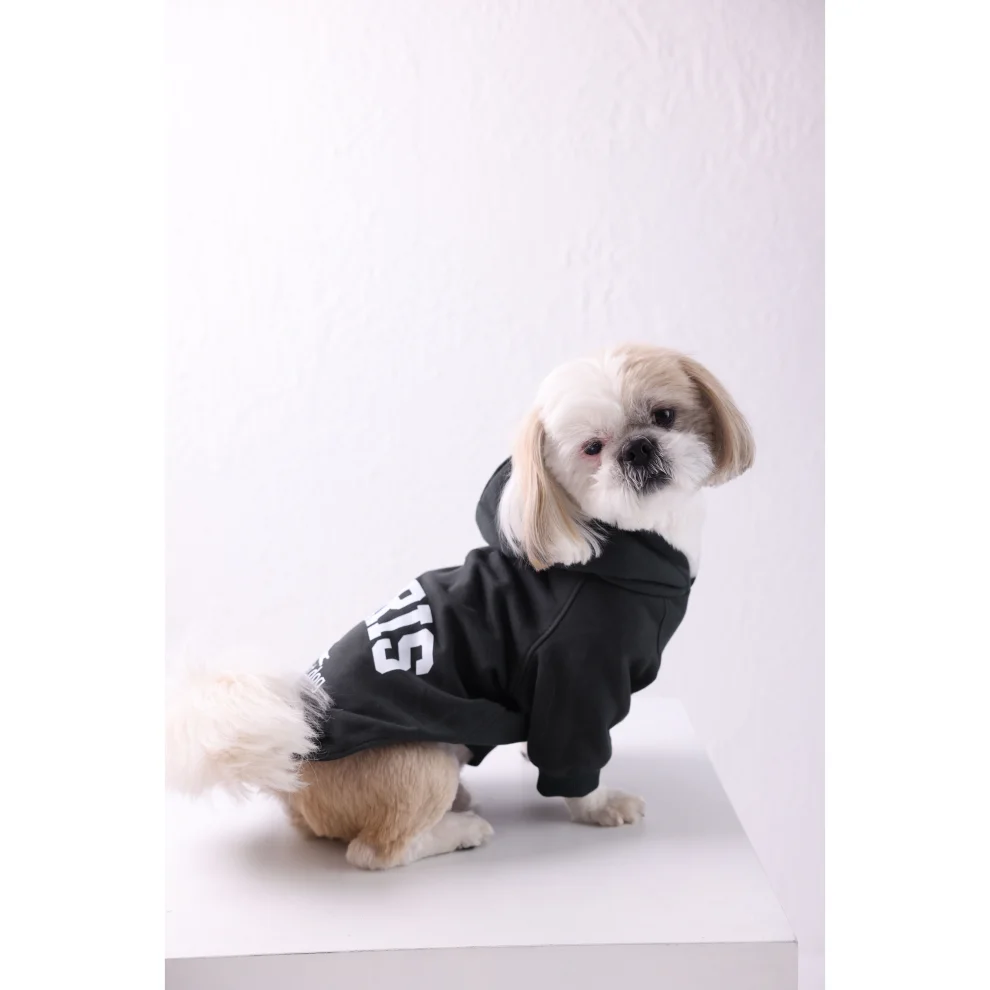 cocoist.dog - Buddy Köpek Hoodie