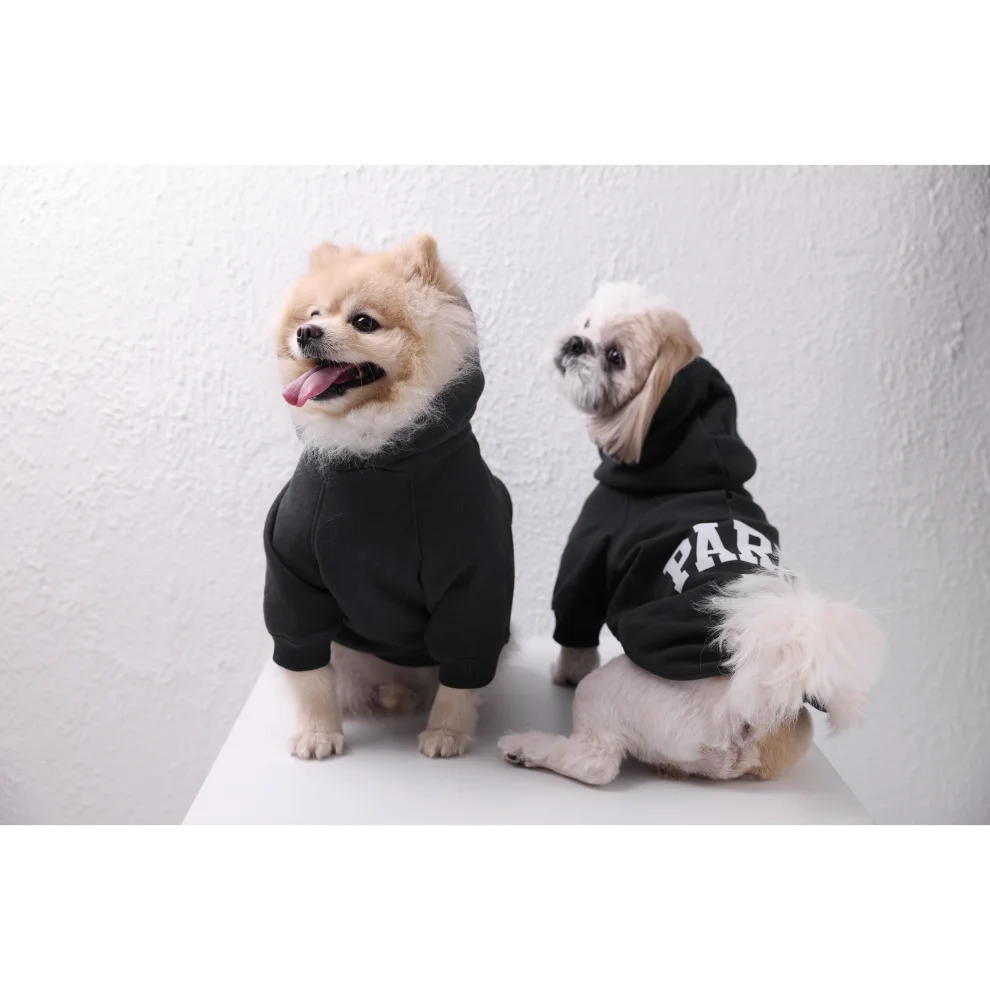 cocoist.dog - Buddy Köpek Hoodie