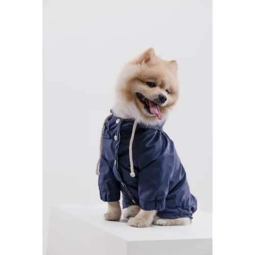 cocoist.dog - Rudy Dog Raincoat