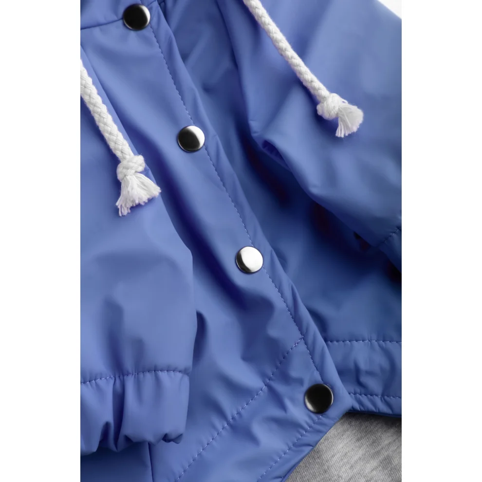 cocoist.dog - Rudy Dog Raincoat