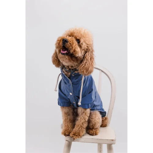 cocoist.dog - Rudy Dog Raincoat