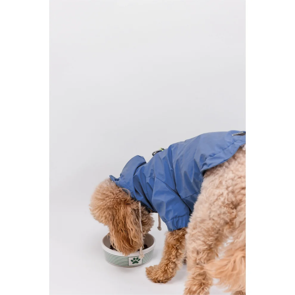 cocoist.dog - Rudy Dog Raincoat