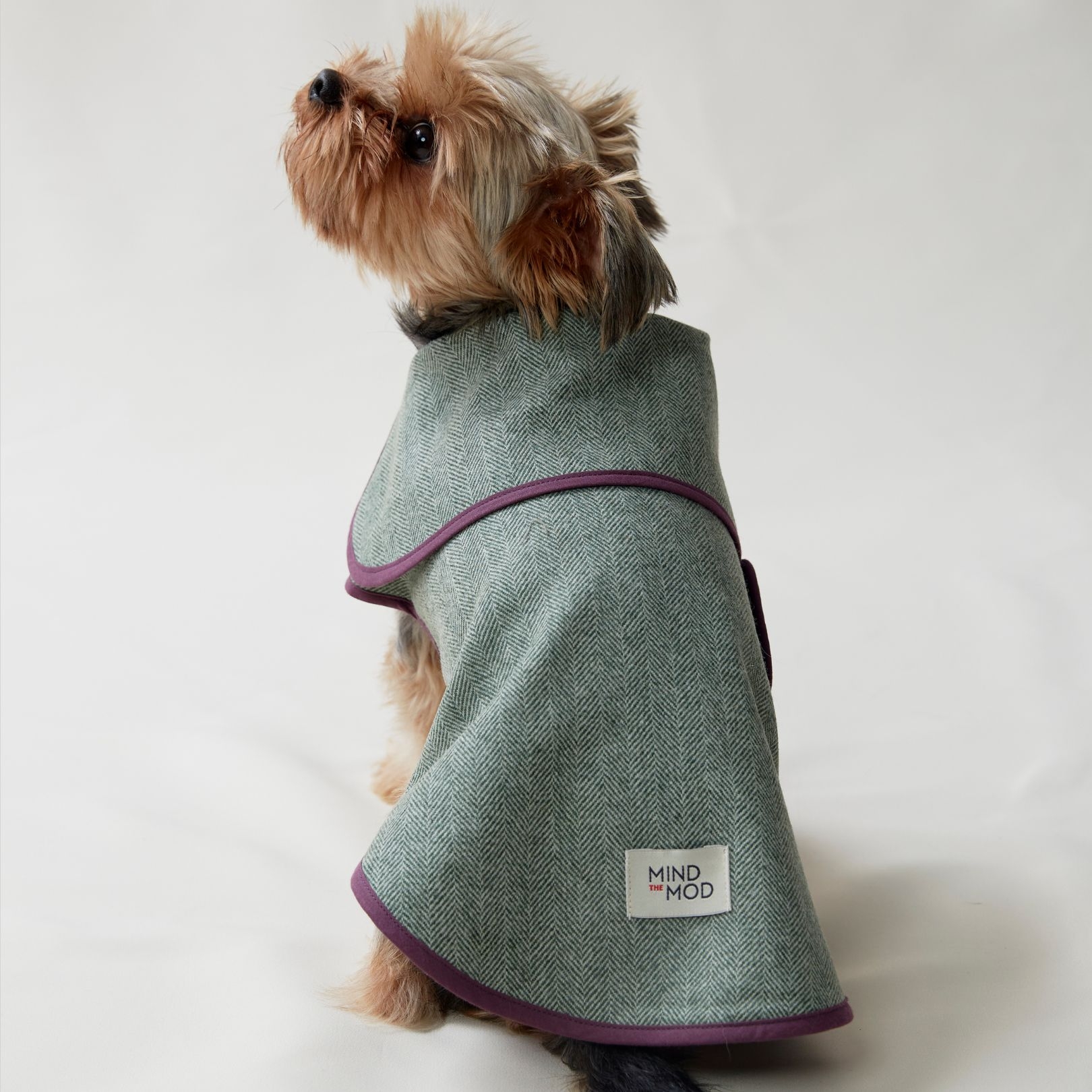 Herringbone Dream Dog Coat