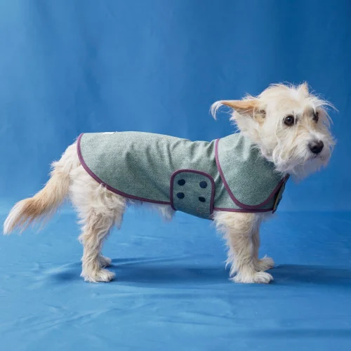 Mind The Mod - Herringbone Dream Dog Coat