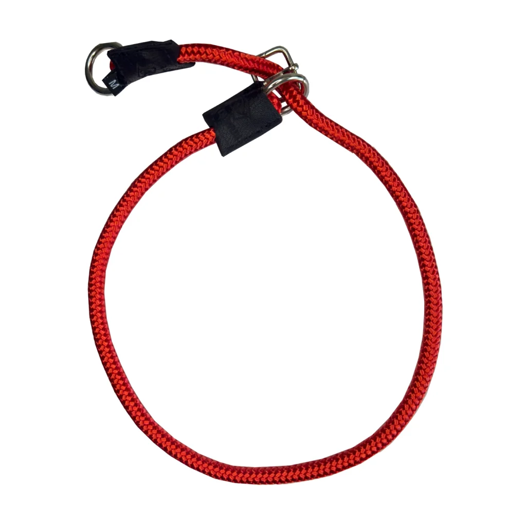 Pets dog training clearance collar