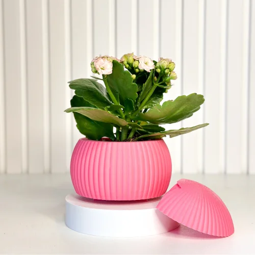 Tou Workshop - Hue Nest Minimal Wall Flower Pot