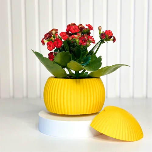 Tou Workshop - Hue Nest Minimal Wall Flower Pot