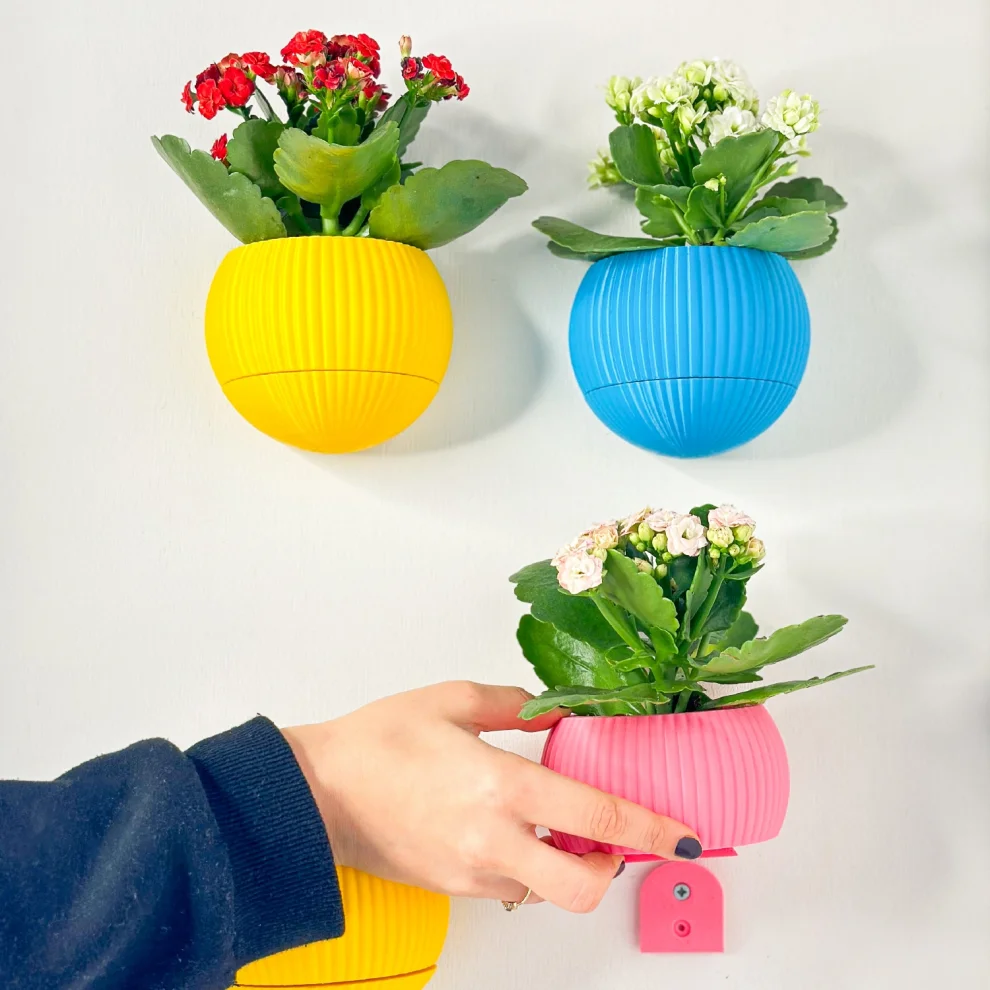 Tou Workshop - Hue Nest Minimal Wall Flower Pot