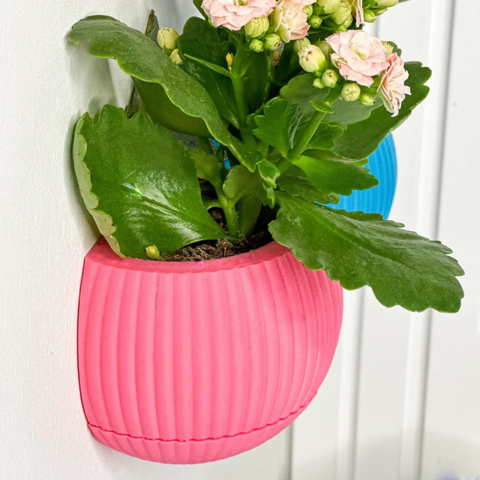 Tou Workshop - Hue Nest Minimal Wall Flower Pot