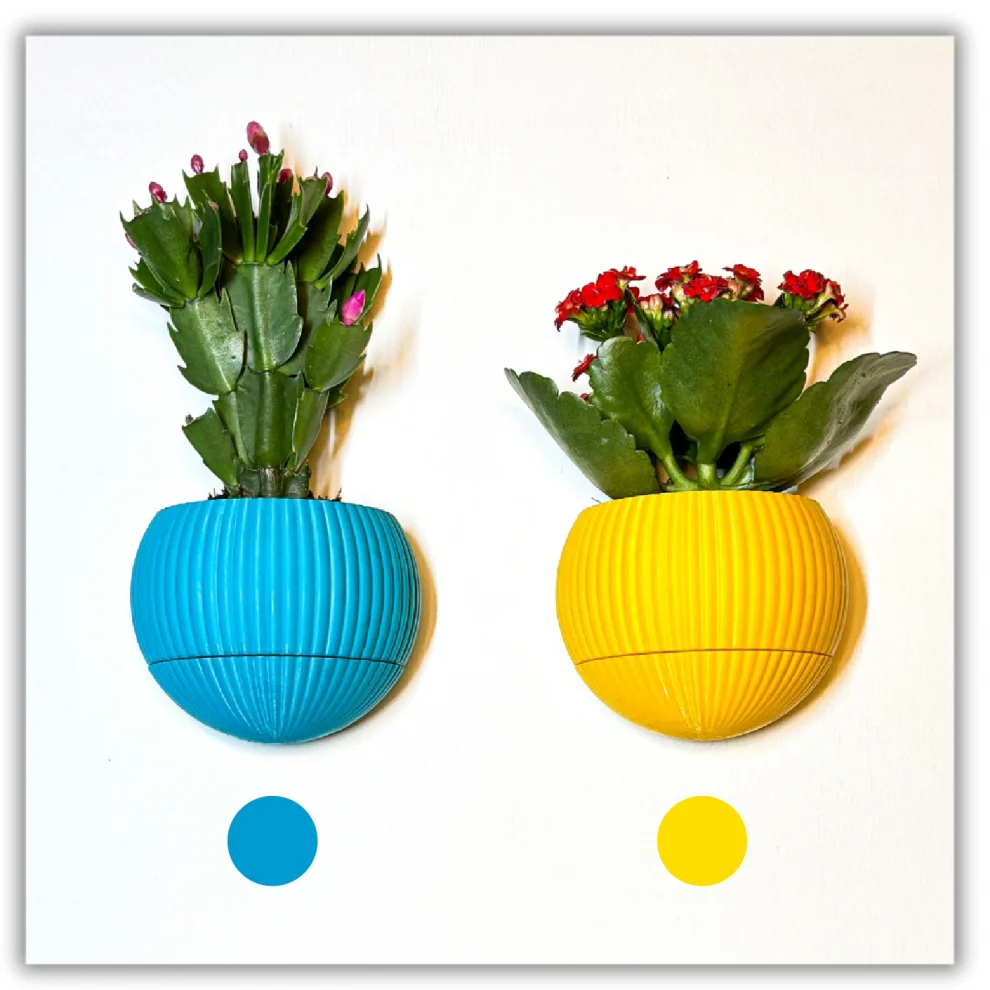 Tou Workshop - Hue Nest Minimal Wall Flower Pot