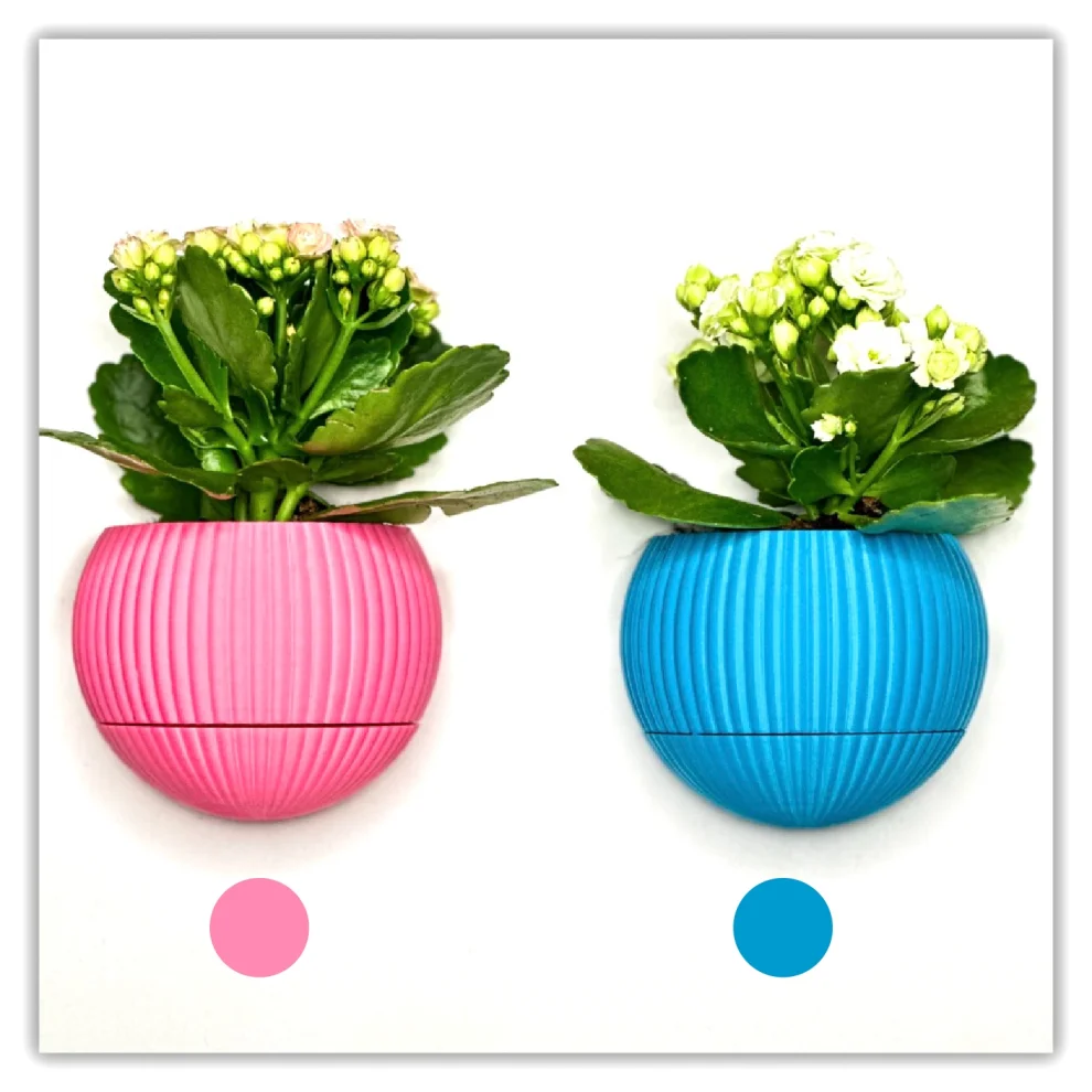 Tou Workshop - Hue Nest Minimal Wall Flower Pot