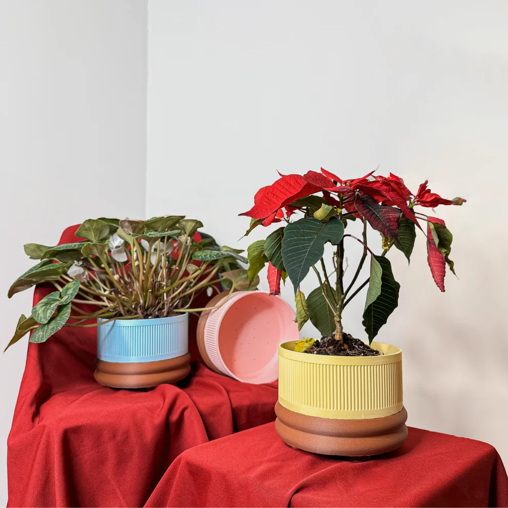 Tou Workshop - Flora Flower Pot