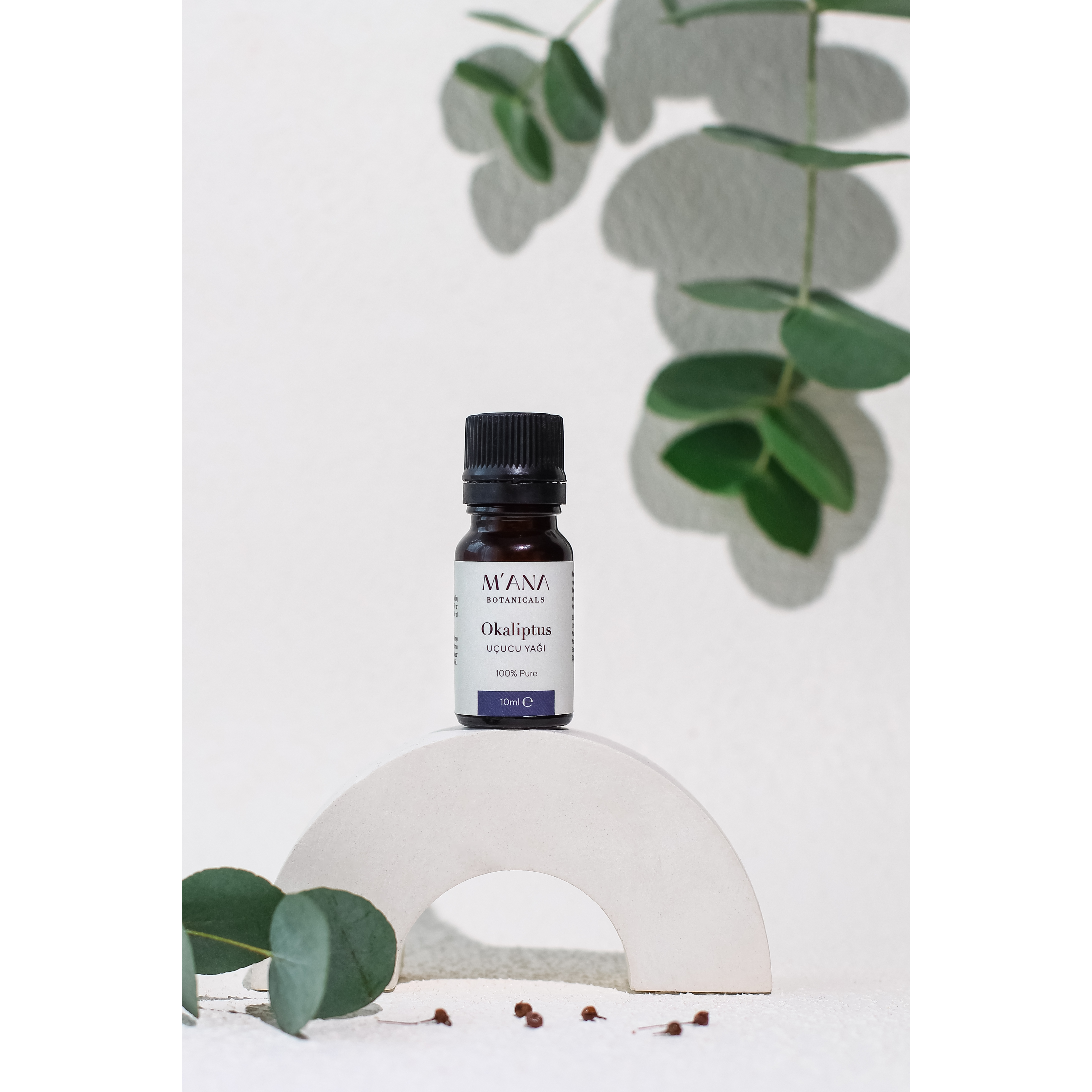 Eucalyptus Essential Oil 100% Pure And Natural 10 Ml