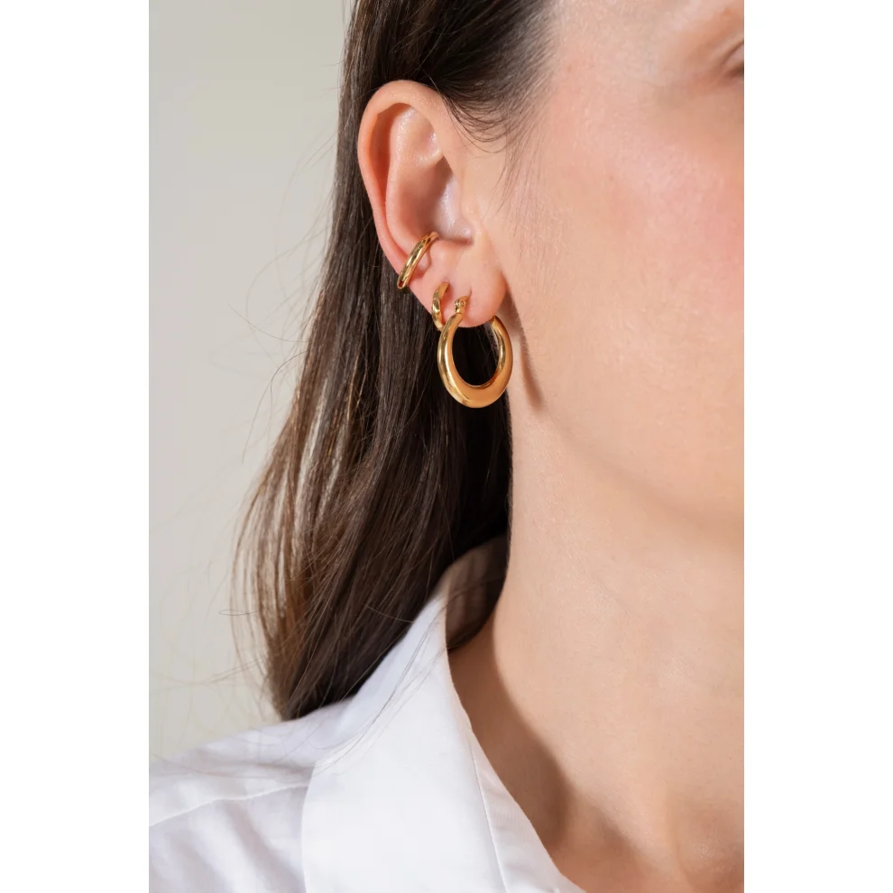 Pure Basic - Swan Earing