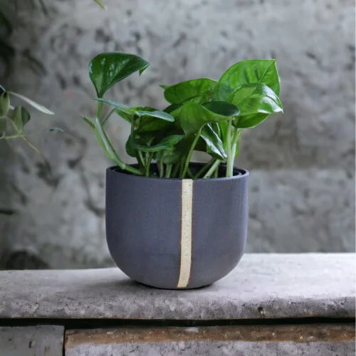 Plant in da House - Stoneware Seramik Saksı - Il