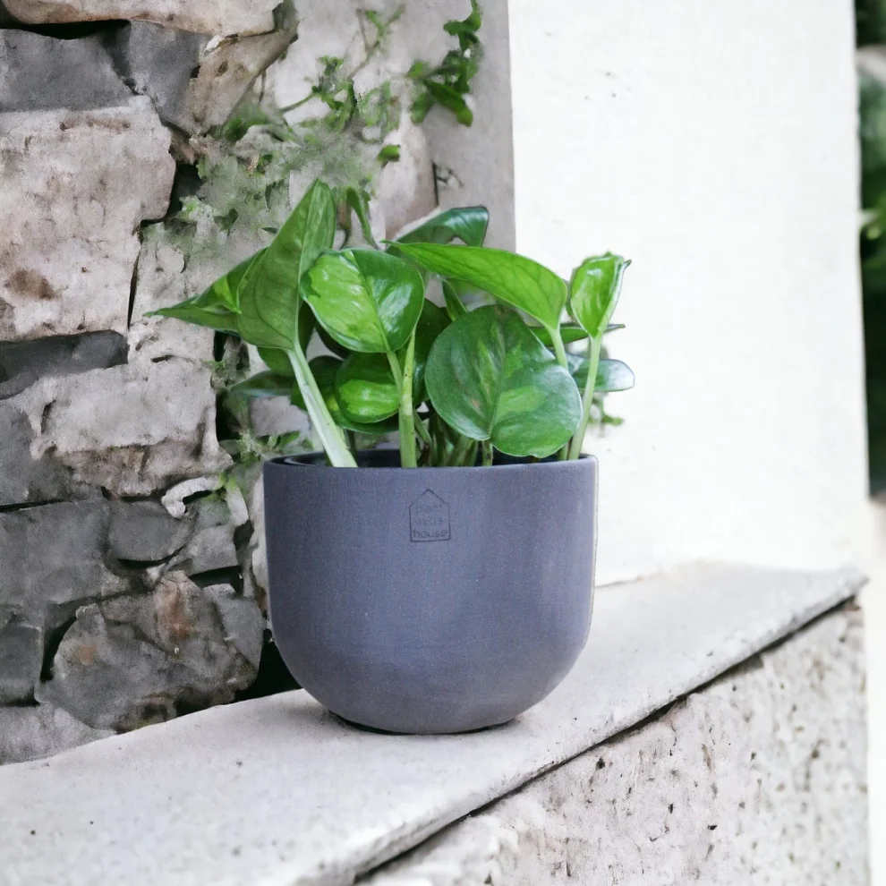 Plant in da House - Stoneware Seramik Saksı - Il