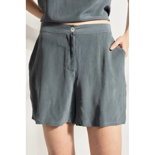 Delicate - Sanded Silk Shorts
