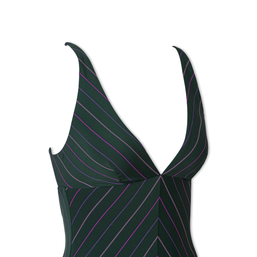 Ayje - A- 81 Fiji V Neck Swimsuit