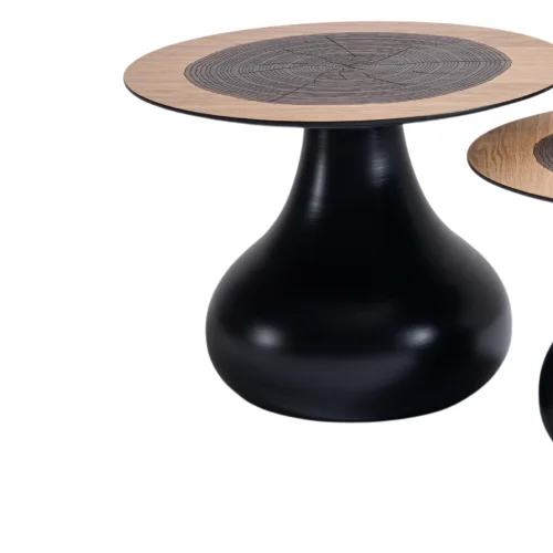 Bekaliving - Haza Wooden Double Coffee Table Set
