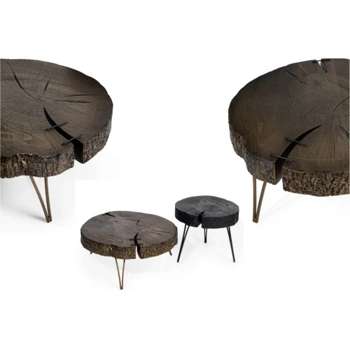 Bekaliving - Ruby Log-look Double Wooden Coffee Table Set Brass