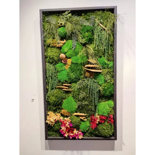 Fiplantart Works - Moss Frame Art