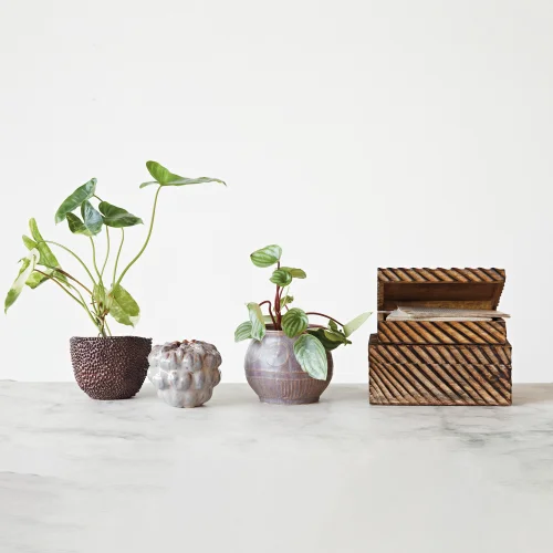 Warm Design - Embossed Dotted Ceramic Flower Pot