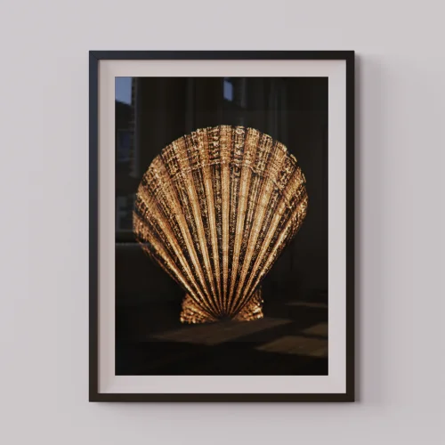 Urania Design - Golden Seashell Poster