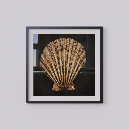 Urania Design - Golden Seashell Poster