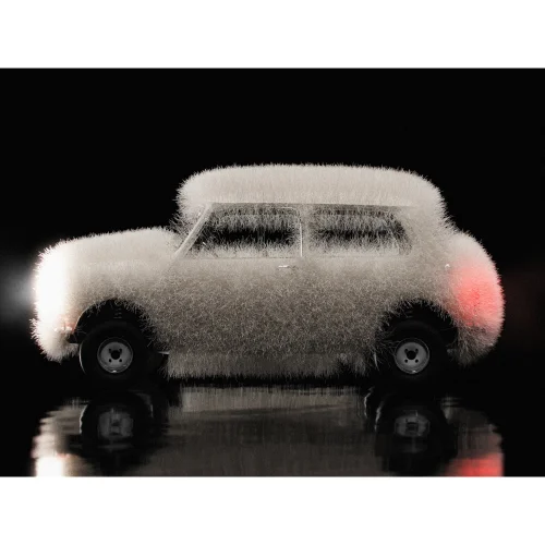 Urania Design - Hairy Car Poster