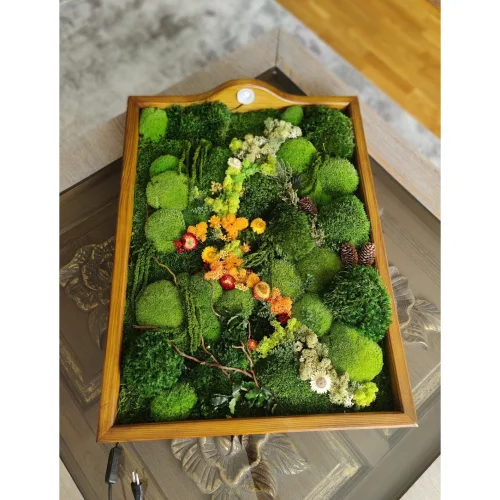 Fiplantart Works - Moss Wall Art