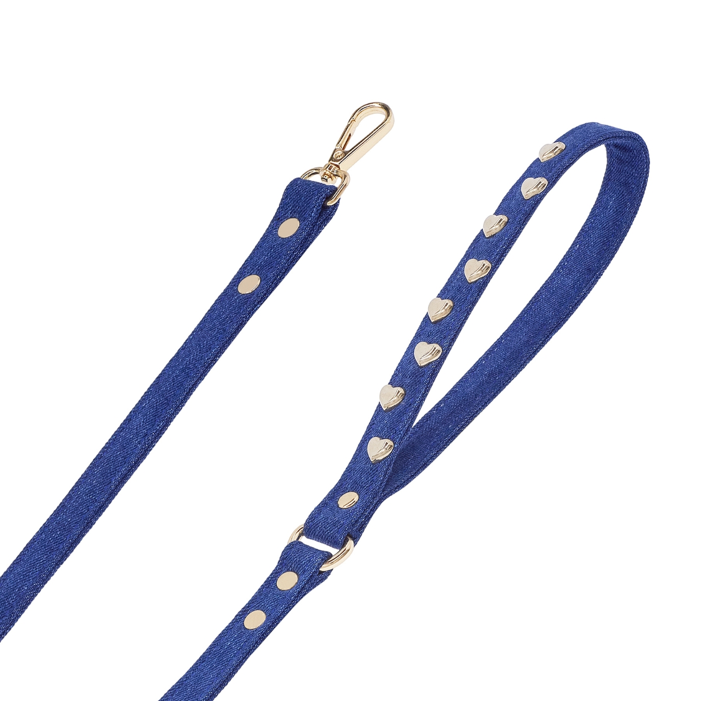 Lovefool Dog Leash