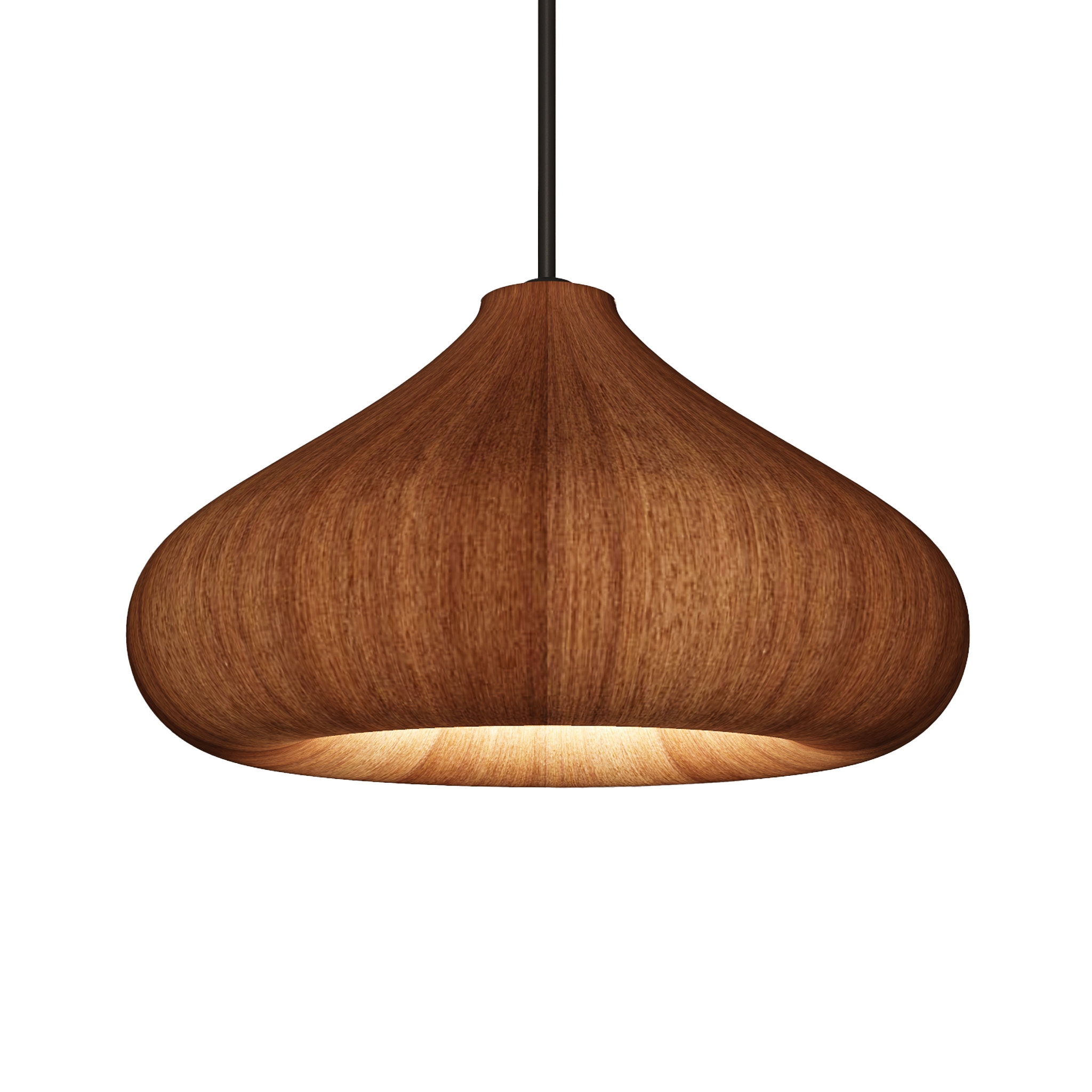 Torus Shaped Pendant Lighting