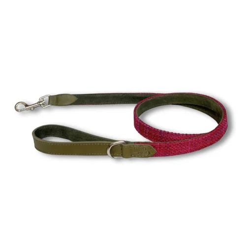 Mind The Mod - Splendid Fuschia Mod Leash