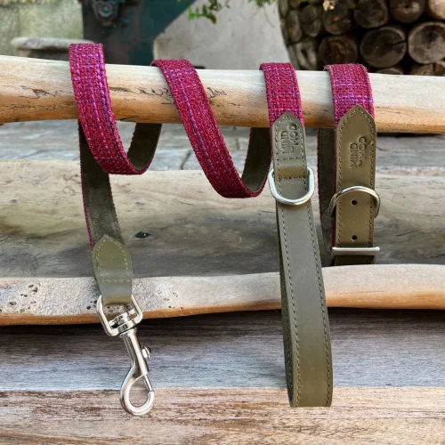 Mind The Mod - Splendid Fuschia Mod Leash