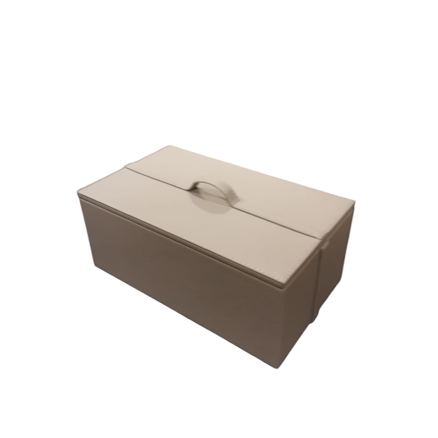 Mink Lid Leather Box 15x25x10 Cm