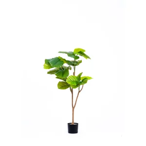 variant