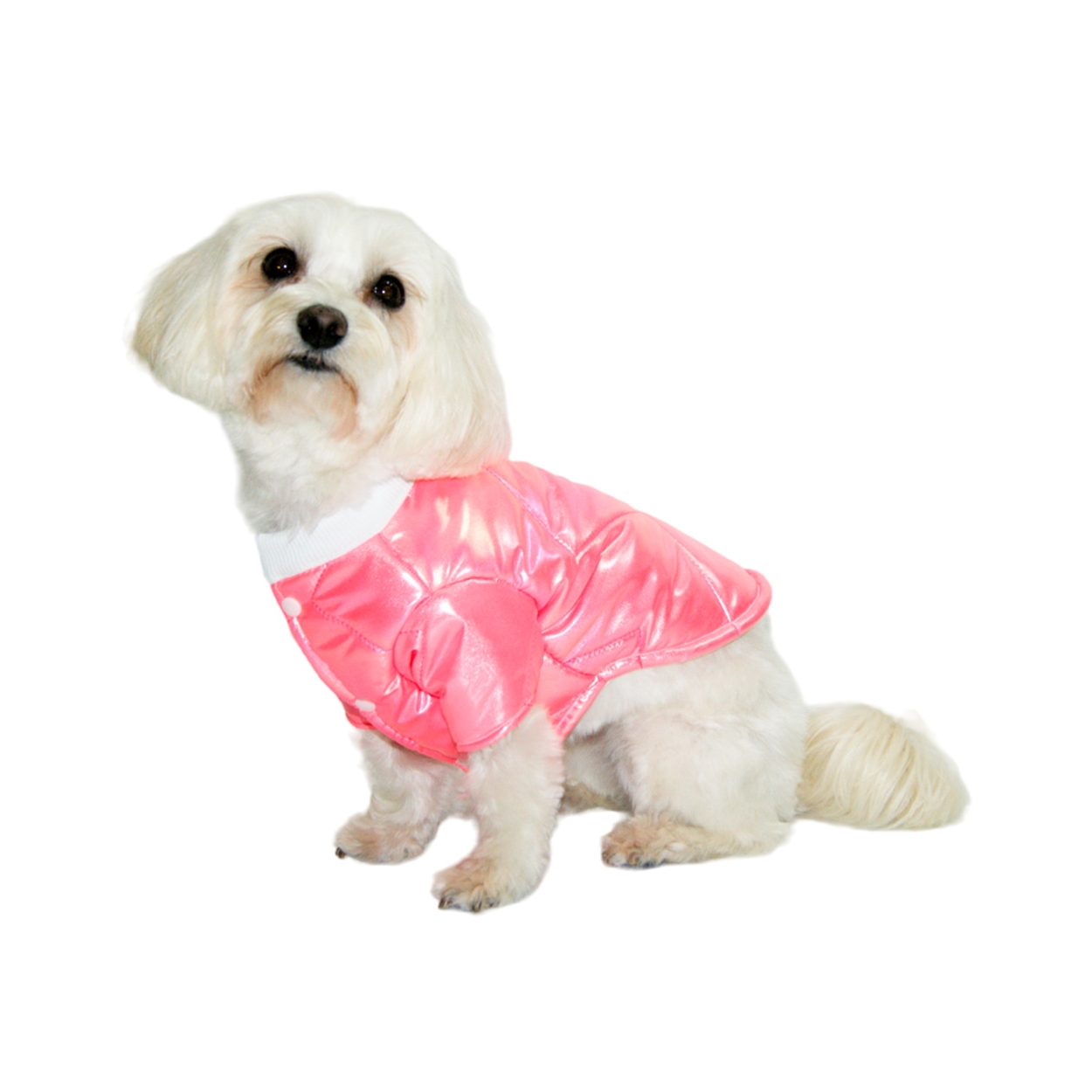 Shiny Dog Coat