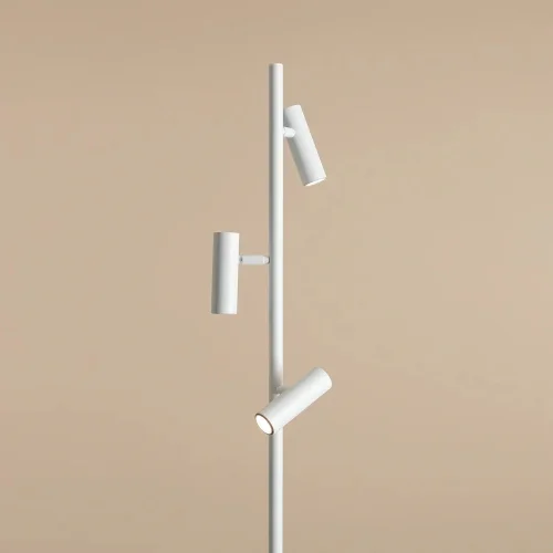 variant