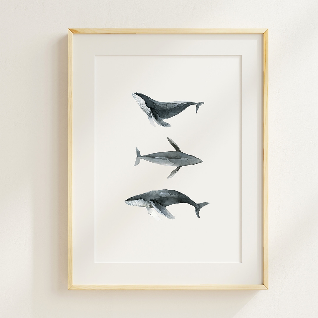 Whale Poses Artprint | Watercolor Illustration