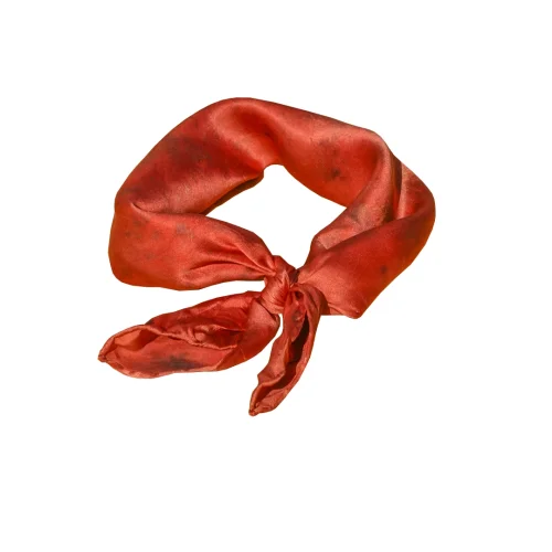 variant