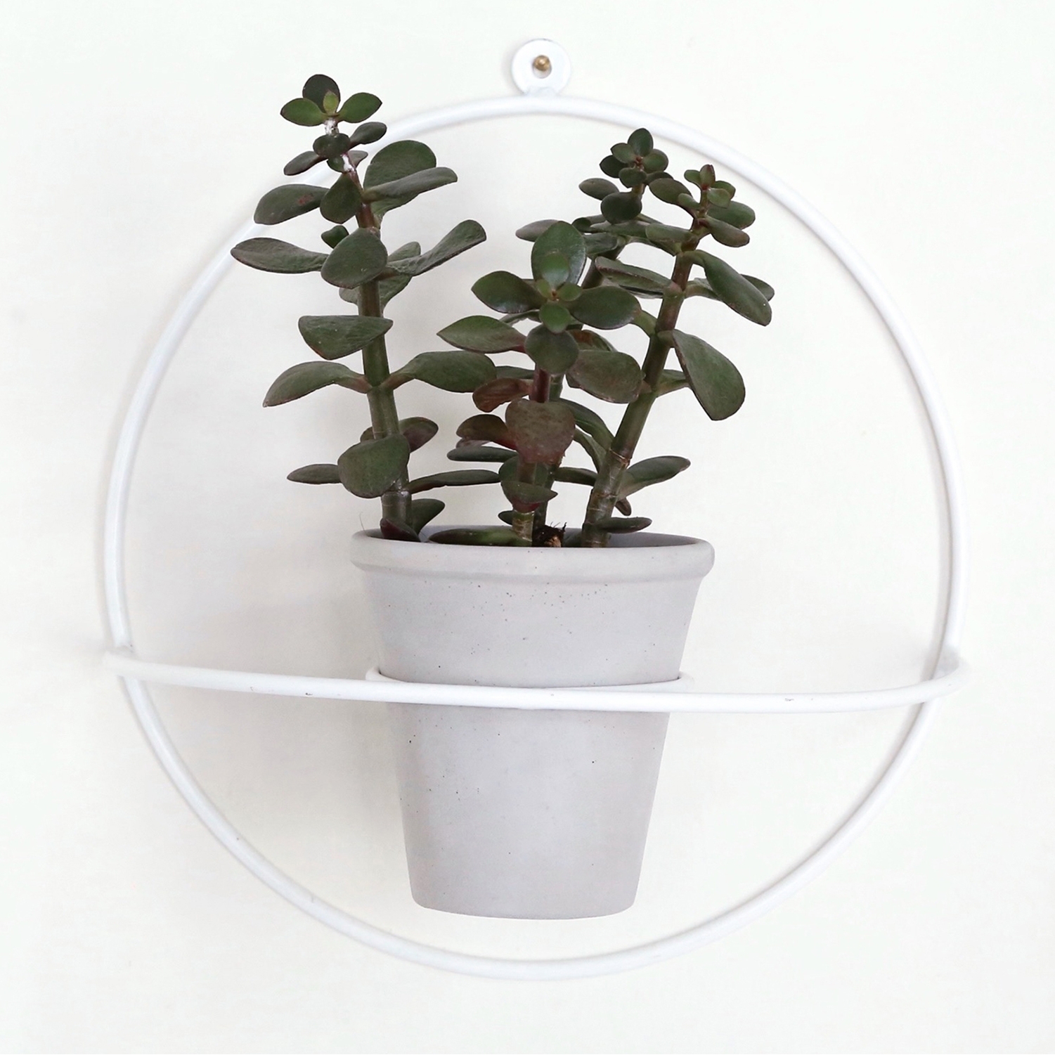 Circle Planter