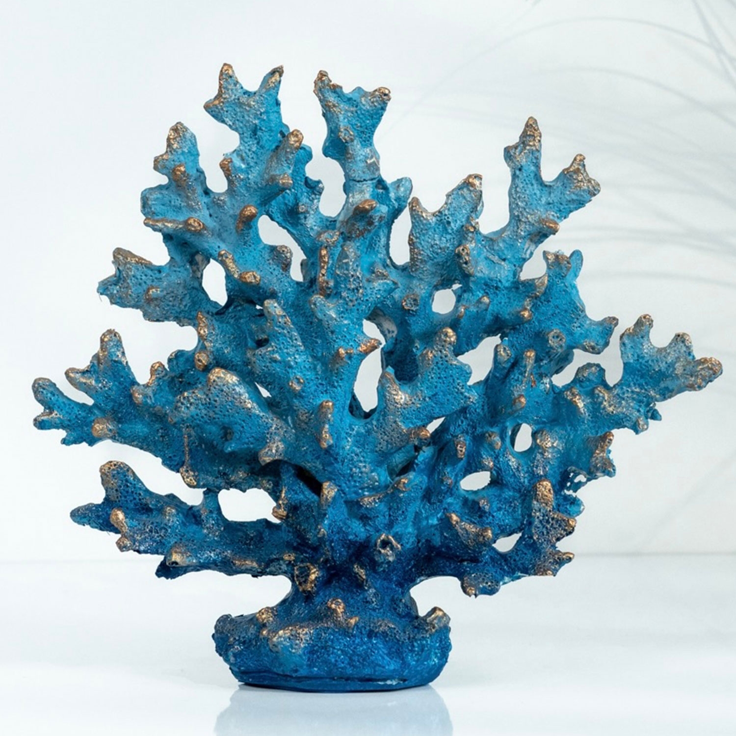 Coral Object