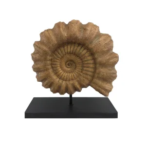 Ammonite Fossil Sculpture