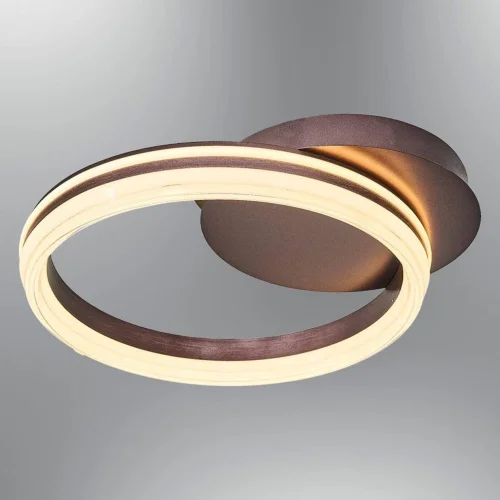 Single Pendant Lamp