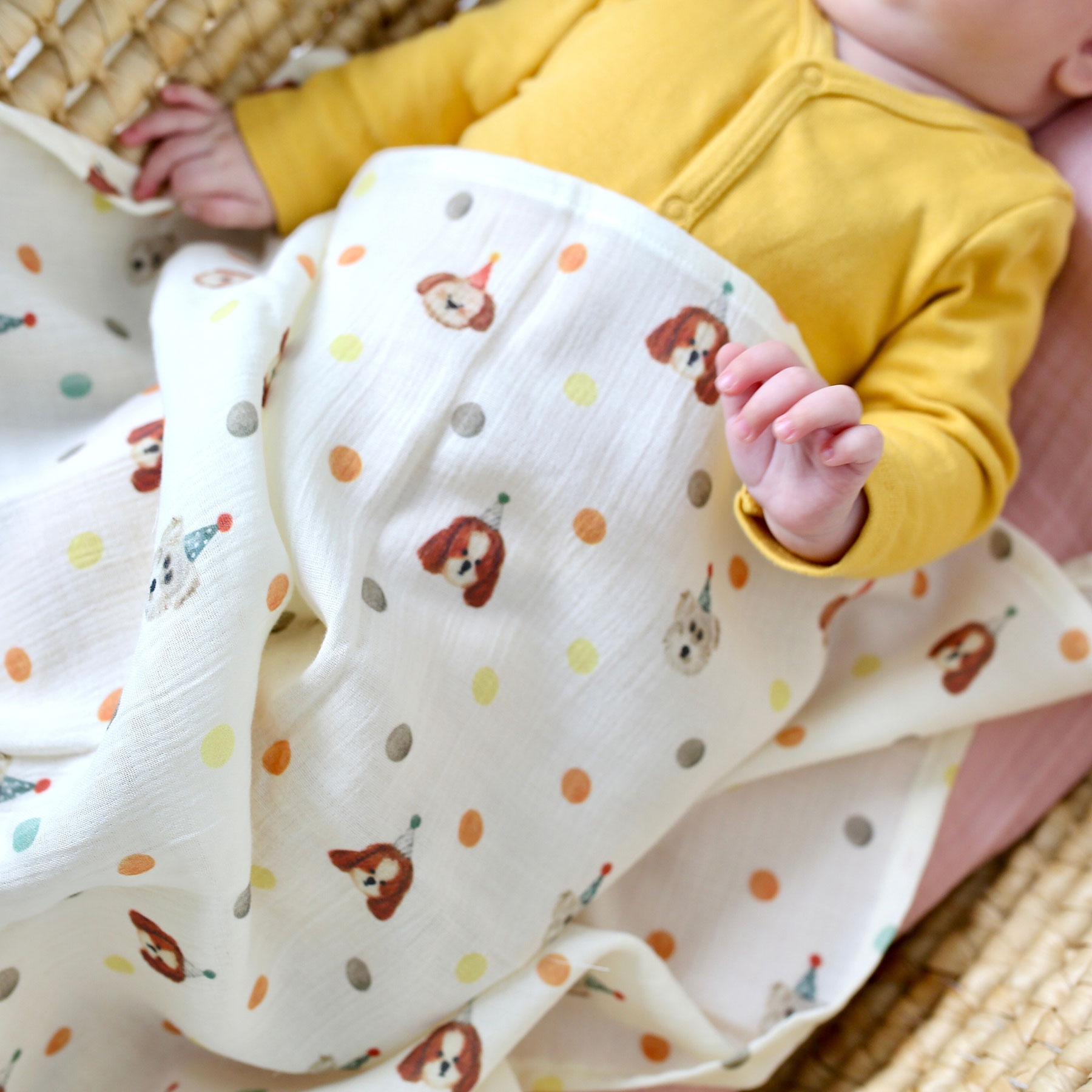 Arthur Muslin Baby Blanket